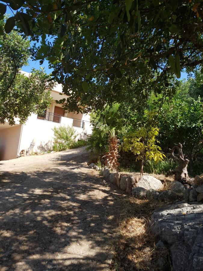 Villa Ikarus Triopetra Exterior photo